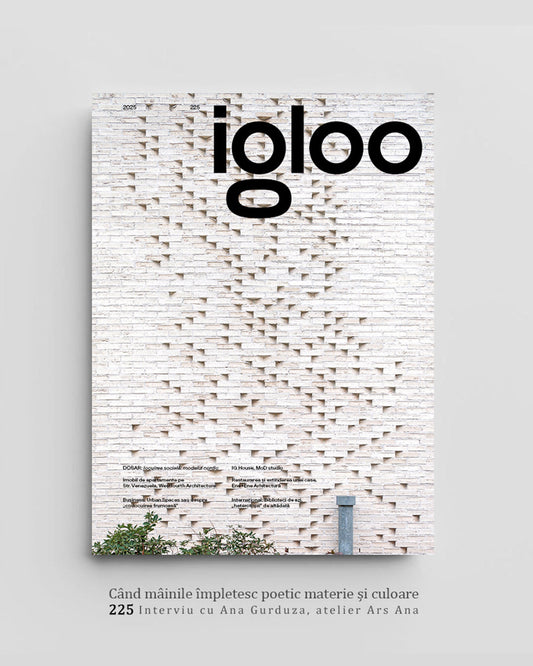 Interview for Igloo 225, May 2025
