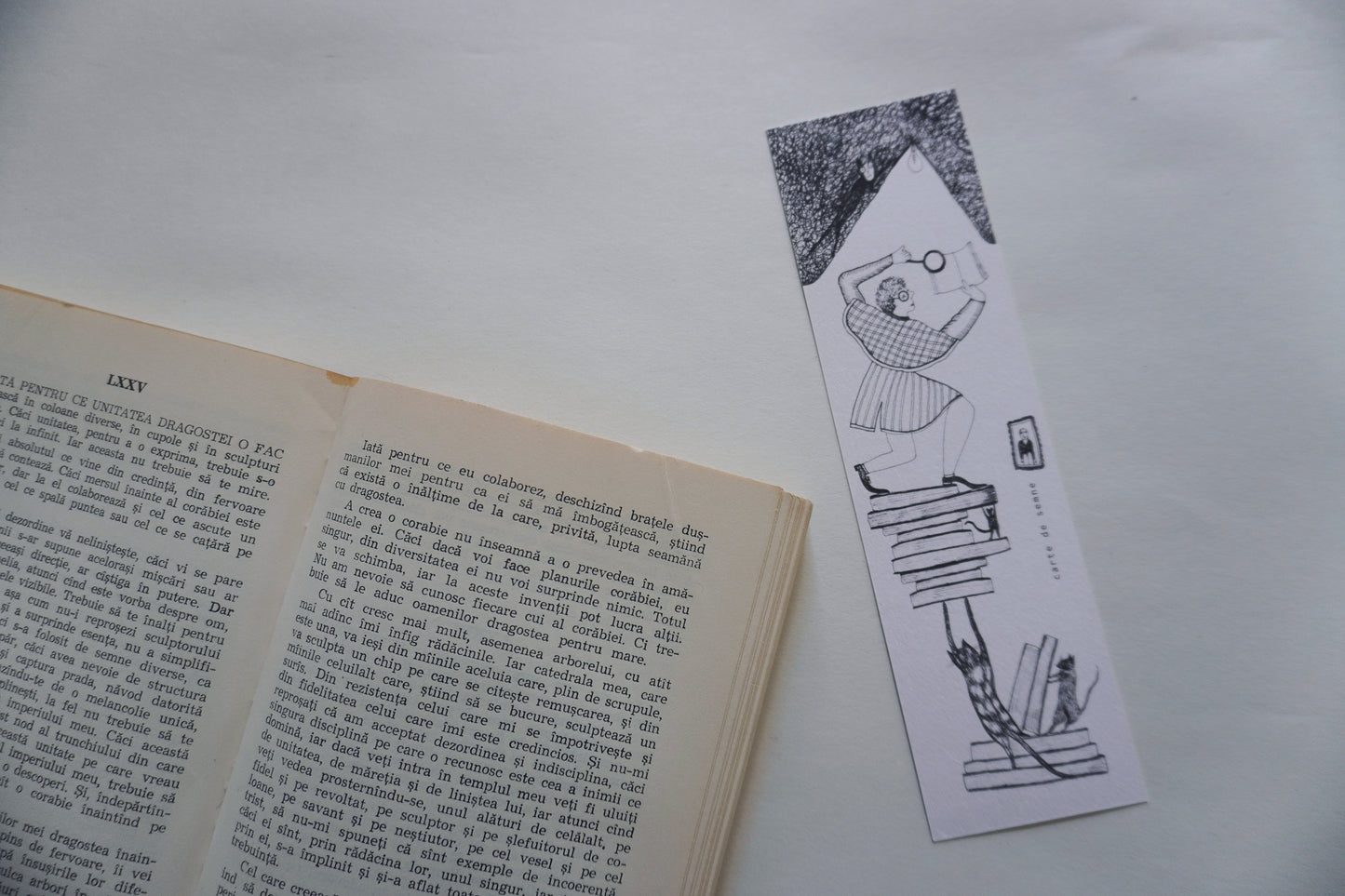 Book Sign, illustrated by hand