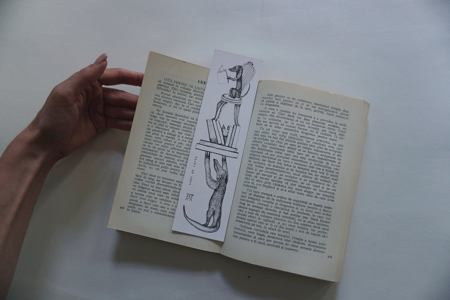 Book Sign, illustrated by hand