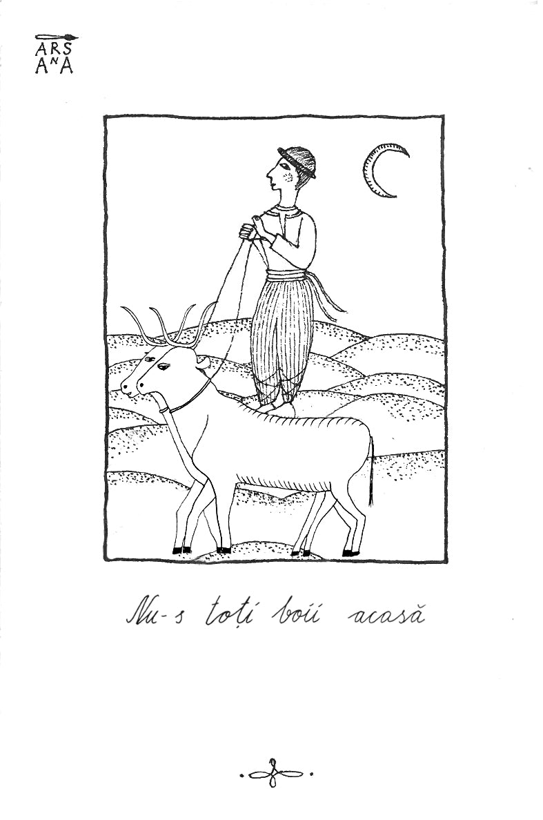 Single Illustrated Postcard, Collection of Romanian Proverbs