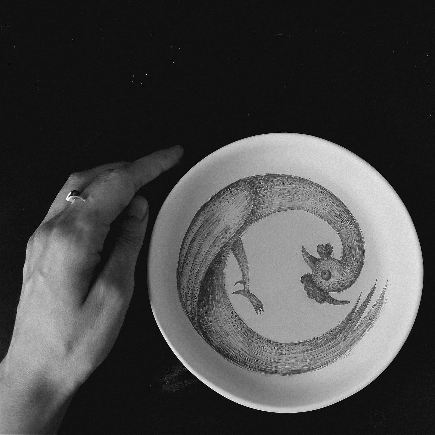 Decorative Plate Noe's Ark Collection