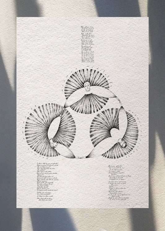 Ana Blandiana L'Institut Culturel Roumain Paris, illustration for La tournée francaise