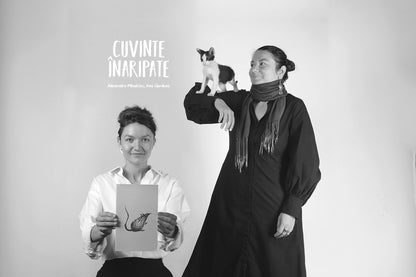 Cuvinte înaripate, Proverbe românești ilustrate