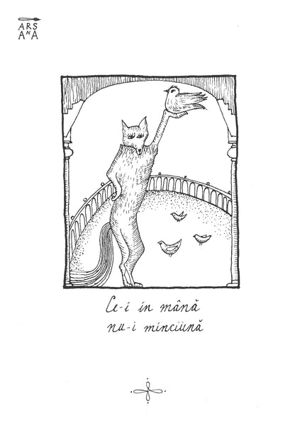 Single Illustrated Postcard, Collection of Romanian Proverbs