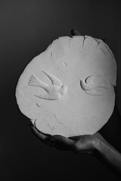 Two Birds and An Egg