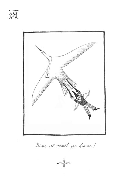 Bine ai venit pe lume, Colecția Proverbe Românești Ilustrate