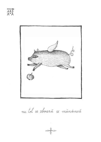 Nu tot ce zboară se mănâncă, Colecția Proverbe Românești Ilustrate