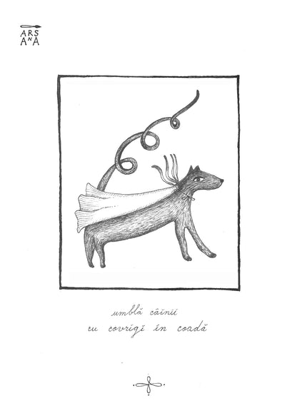 Umblă câinii cu covrigi în coadă, Colecția Proverbe Românești Ilustrate