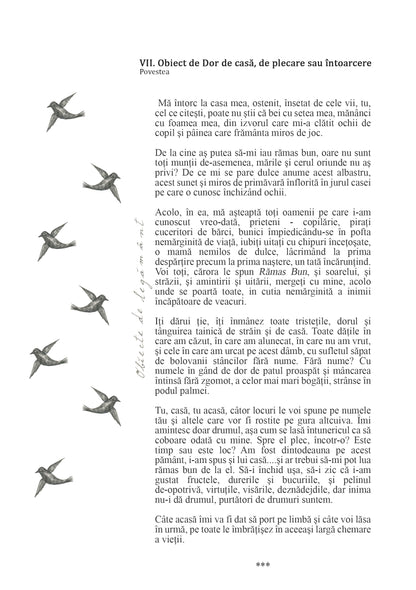 VII. Object of Longing for Home, Objects of Covenant Collection