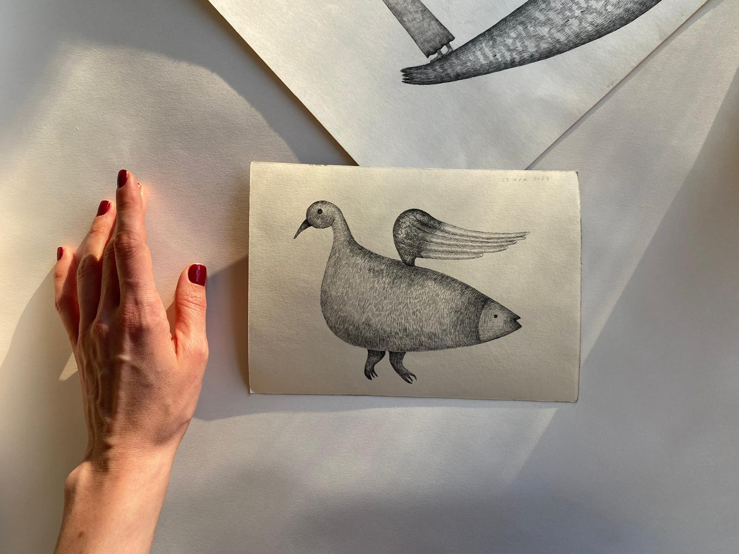 Bird of Fish