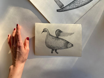 Bird of Fish