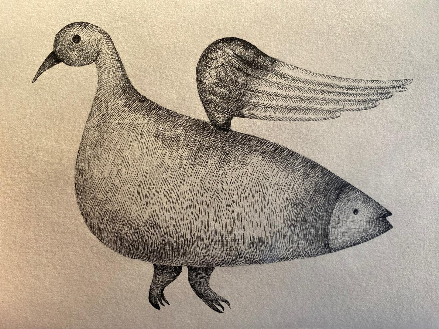 Bird of Fish
