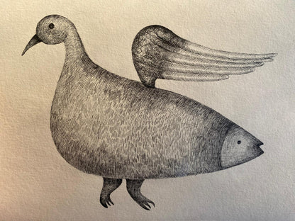 Bird of Fish