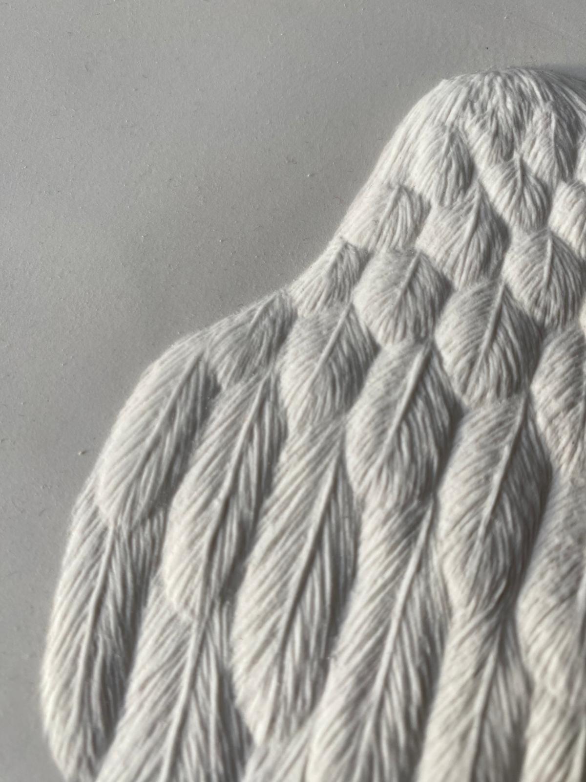 The Wing, Series of 20