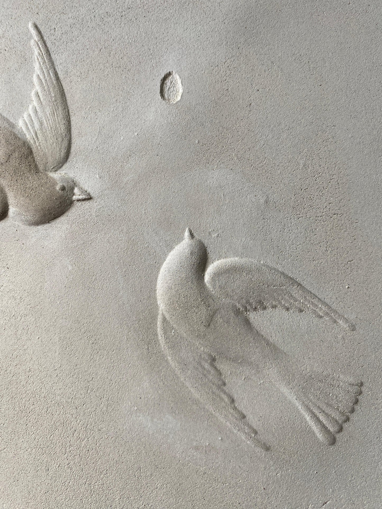 Two Birds and An Egg